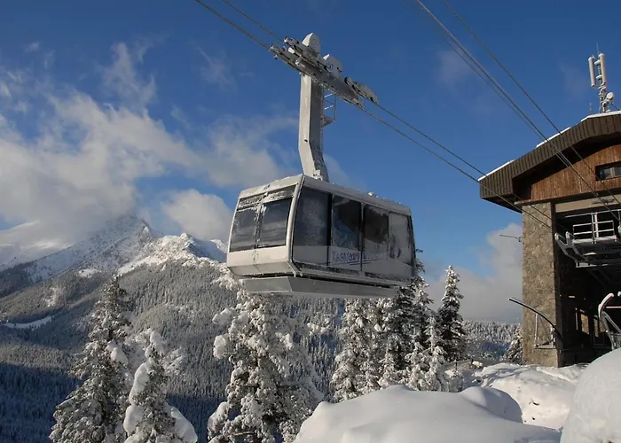 Liliowe Turnie Zakopane Basen Spa Ul Nowotarska