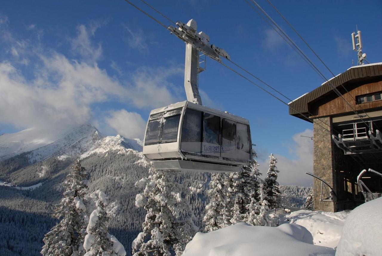 Liliowe Turnie Basen Ul Nowotarska * Zakopane